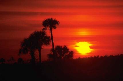 sunset
