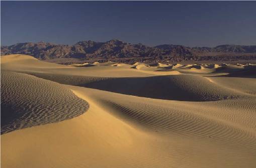 wavy sand